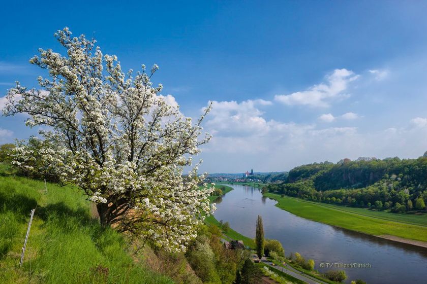 @ Elbelandschaft bei Meissen_Sylvio Dittrich