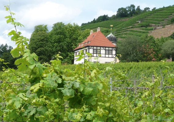 @ Weingut-Hoflösnitz_Unbekannter-Fotograf